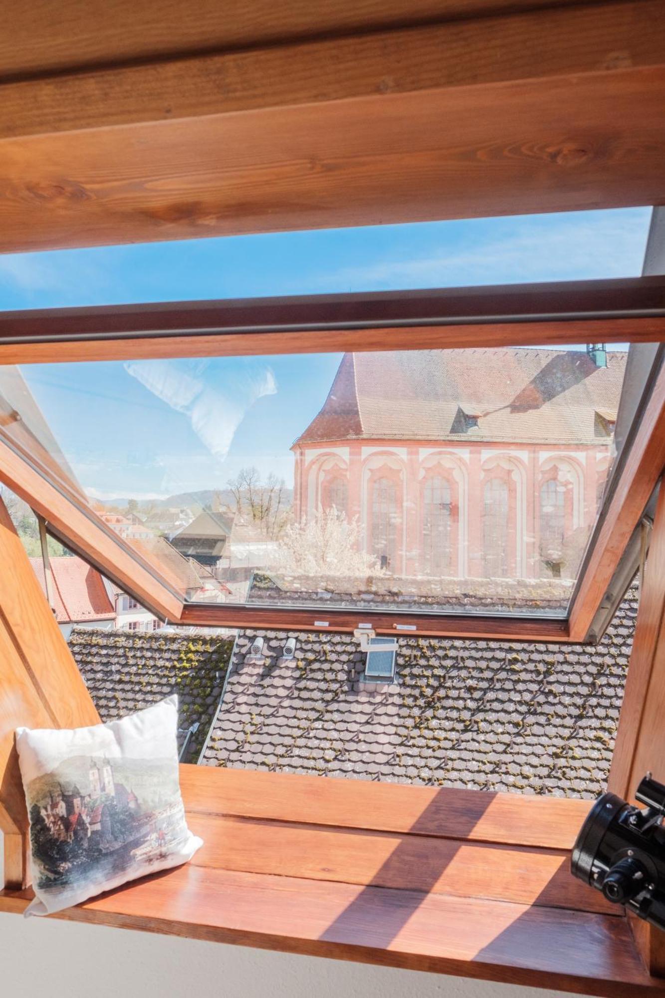 Neu Deluxe Suite Muensterblick, Maisonette, Kingsize Bett, Kueche, Netflix, Aussicht, E-Kamin 巴特塞京根 外观 照片
