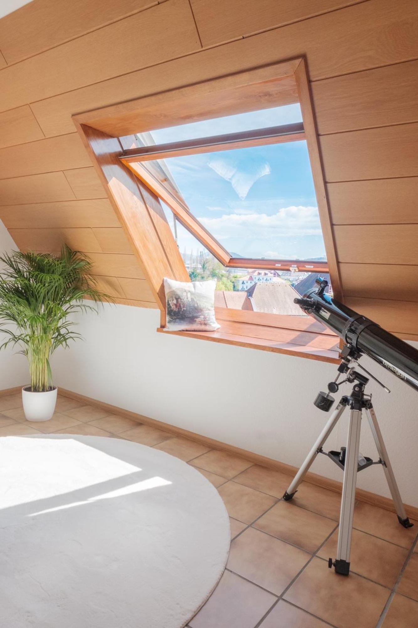 Neu Deluxe Suite Muensterblick, Maisonette, Kingsize Bett, Kueche, Netflix, Aussicht, E-Kamin 巴特塞京根 外观 照片